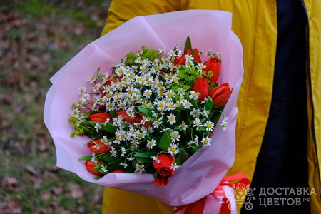 Букет из красных тюльпанов и ромашек "Время цвести"