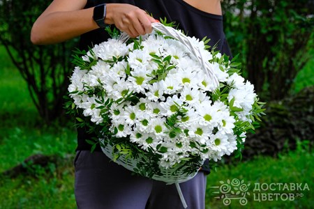 Композиция из 15 хризантем в корзине "Белые кустовые хризантемы в корзине"