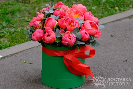 Композиция из 15 коралловых пионов с эвкалиптом в коробке "Коралловые пионы"
