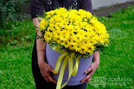 Композиция из 15 кустовых хризантем в коробке "Желтые кустовые хризантемы в коробке"
