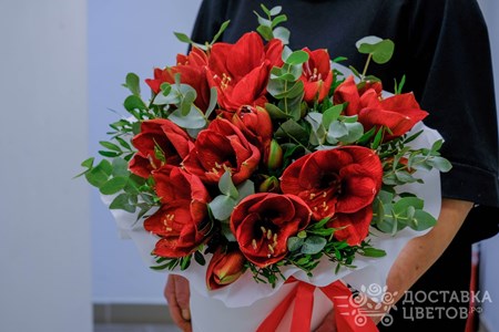 Композиция из 5 амариллисов в коробке "Красные амариллисы"