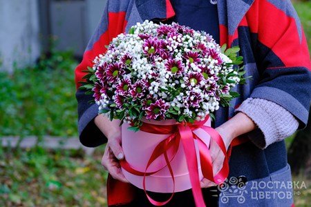 Композиция из 5 бордовых хризантем с гипсофилой в коробке "Простая радость"