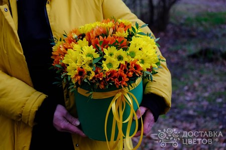 Композиция из 5 хризантем в коробке "Олимпия"