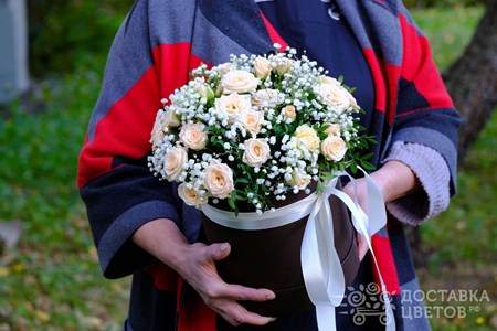 Композиция из 7 кремовых кустовых роз с гипсофилой в коробке "Прохладное утро"