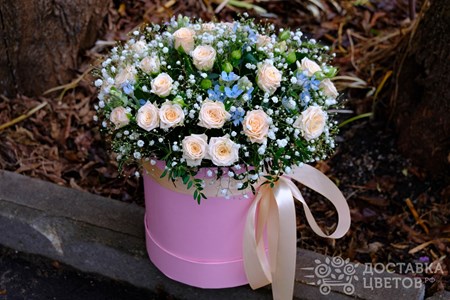 Композиция из 7 кремовых кустовых роз с оксипеталумом в коробке "Милый образ"