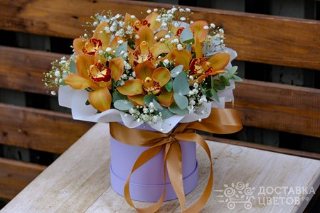 Композиция из 7 орхидей с гипсофилой в коробке "Сувенир"