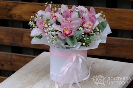 Композиция из 7 орхидей с гипсофилой в коробке "Волшебный сон"