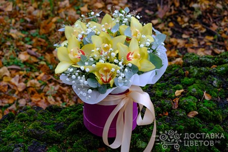 Композиция из 7 орхидей с гипсофилой в коробке "Золотое царство"