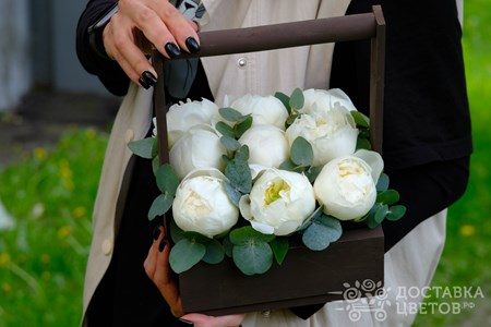 Композиция из 9 белых пионов с эвкалиптом в ящике "Белые пионы"