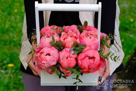 Композиция из 9 коралловых пионов с эвкалиптом в ящике "Коралловые пионы"