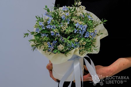 Композиция из голубого оксипеталума в коробке "Васильковая поляна"