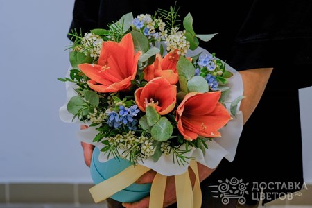 Композиция из персикого амариллиса и оксипеталума в коробке "Персиковый нектар"