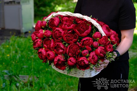Корзина из 51 красного пиона "Красные пионы"