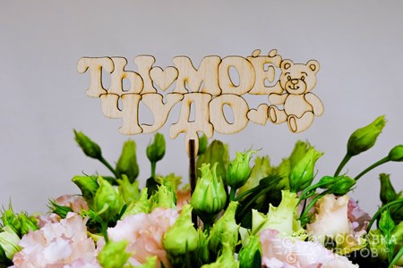 Ты моё чудо